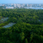 Amauri Jacintho Baragatti