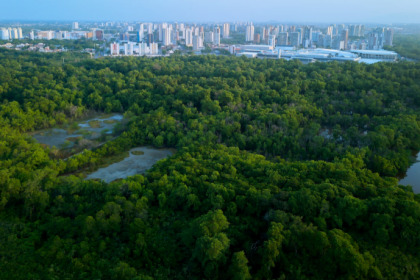 Amauri Jacintho Baragatti