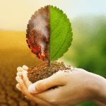 Vanuza Vidal Sampaio