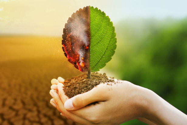 Vanuza Vidal Sampaio