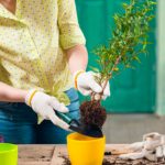 Admar de Carvalho Martins