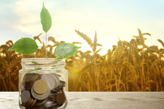 Como o crédito rural impulsiona o crescimento do agronegócio e, na visão de João Eustáquio De Almeida Junior, o financiamento é decisivo para a expansão do setor.