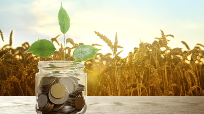 Como o crédito rural impulsiona o crescimento do agronegócio e, na visão de João Eustáquio De Almeida Junior, o financiamento é decisivo para a expansão do setor.