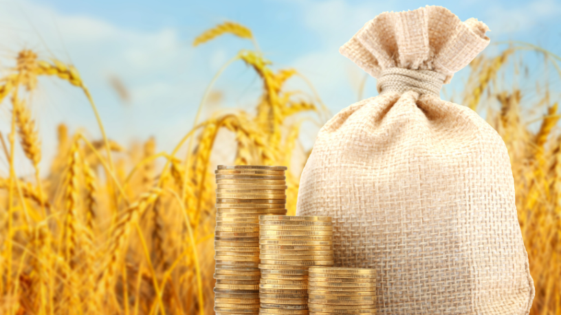 O papel estratégico do crédito rural no avanço do agronegócio, analisado por João Eustáquio De Almeida Junior, mostra como o financiamento move toda a cadeia produtiva.