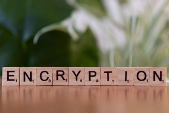 Blocos de madeira formam a palavra “encryption”, simbolizando criptografia e proteção de dados digitais.
