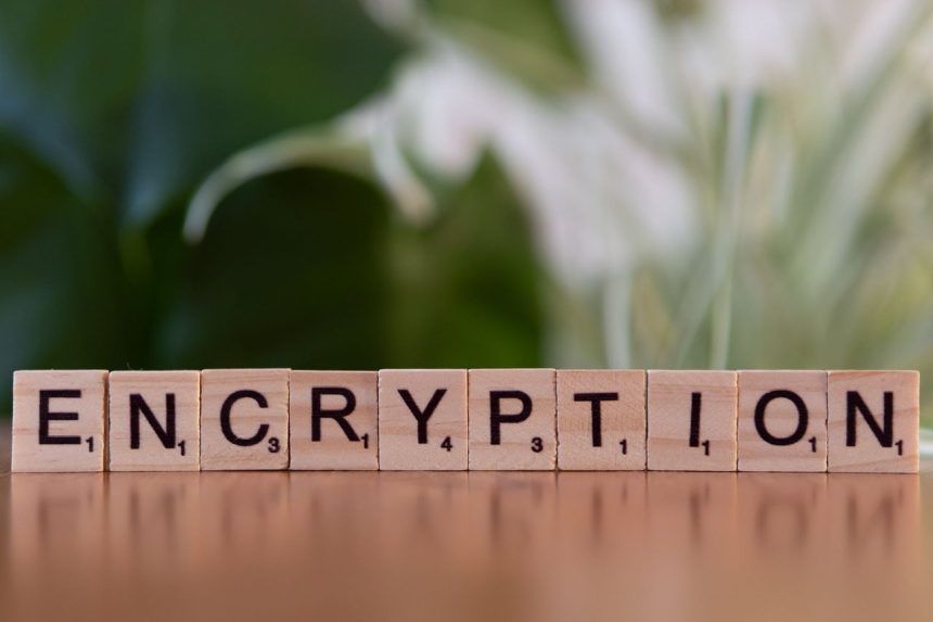 Blocos de madeira formam a palavra “encryption”, simbolizando criptografia e proteção de dados digitais.